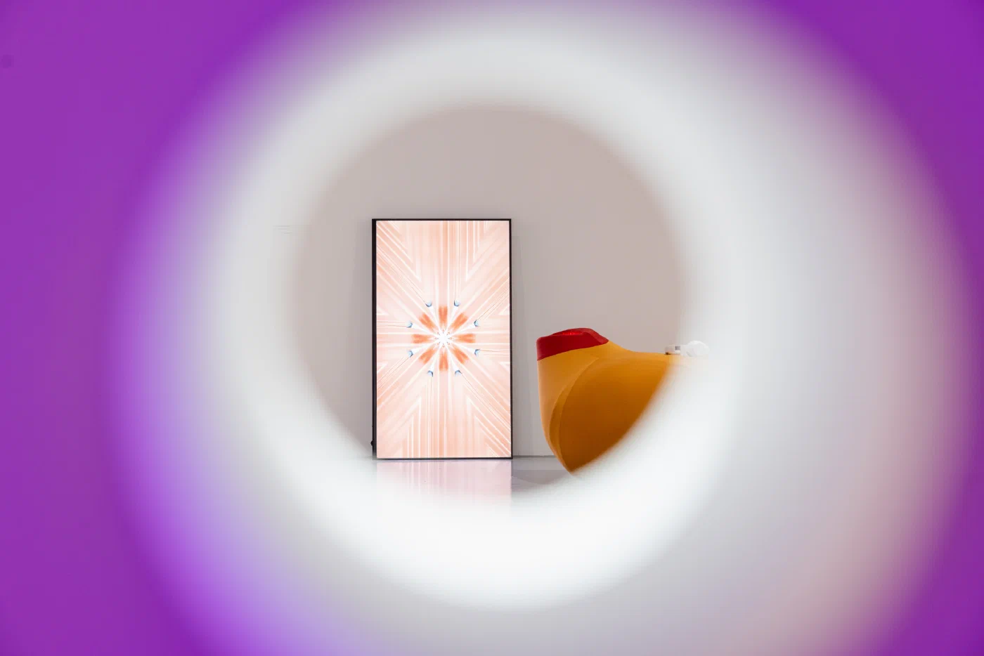 Sensorial Mechanisms — image 5