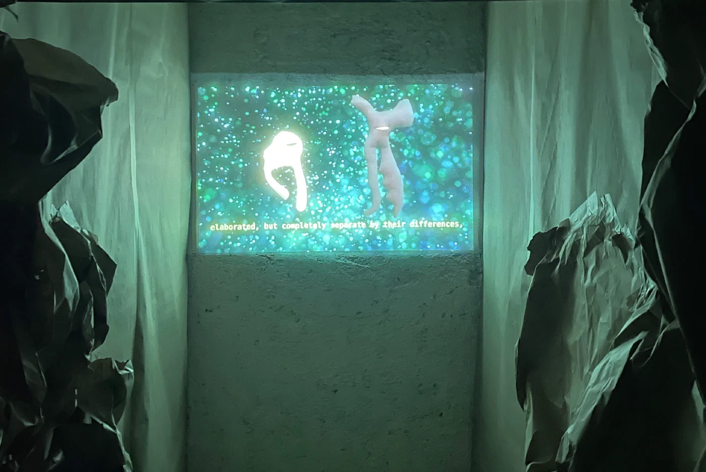 The Cosmic Box