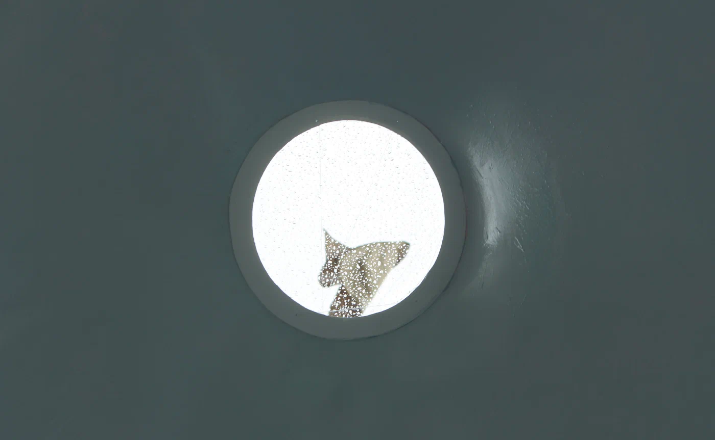 Through the hole is the way "Out-of-This World" — image 1