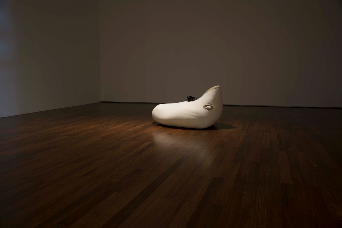 Underneath the skin another skin — image 19