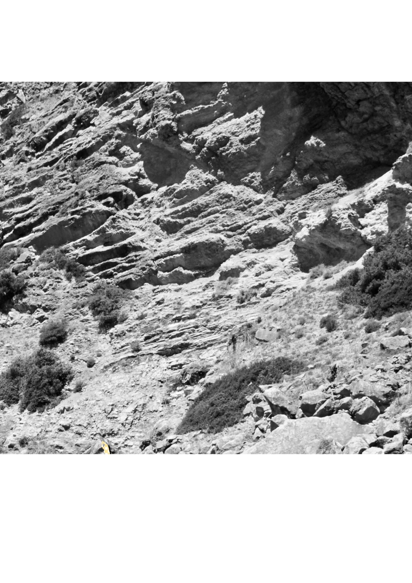 Untitled project #1 — image 2