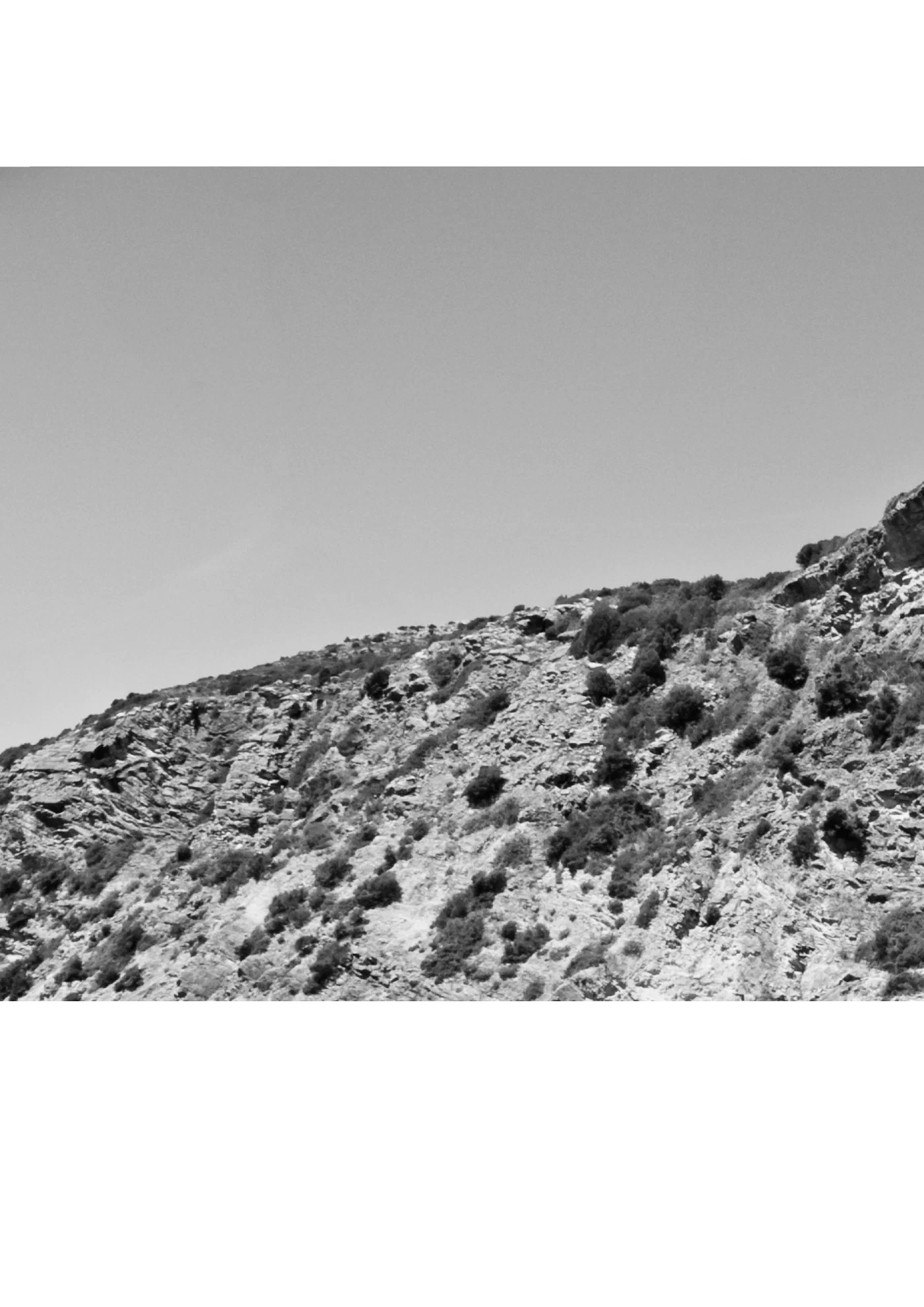 Untitled project #1 — image 4
